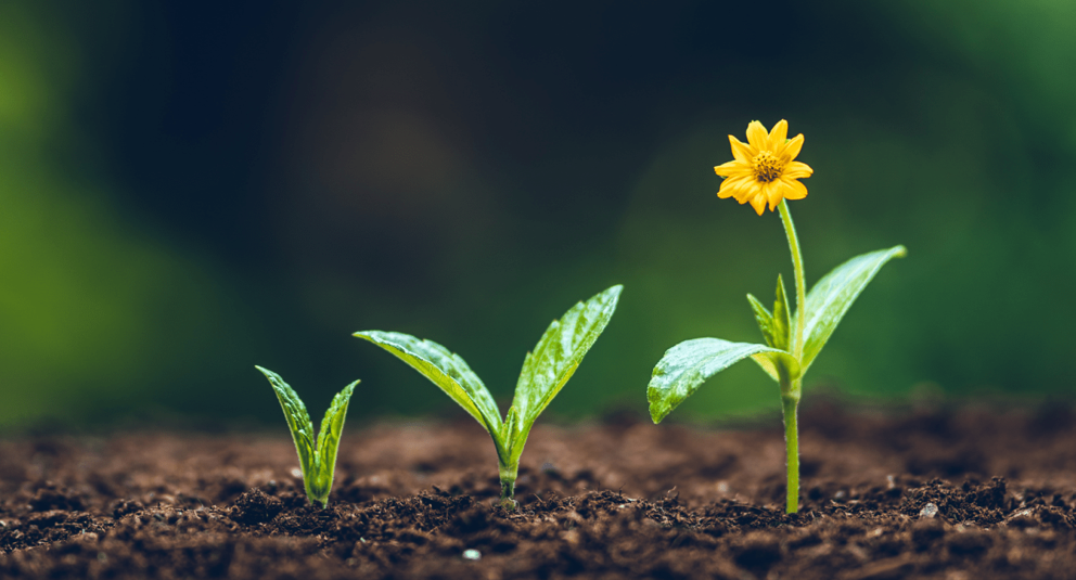 Projektu vērtēšanas rezultāti 96.kārtai