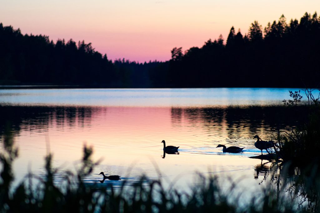 Aicinām pieteikties dalībai lēnā tūrisma projektā “Paliec ilgāk”