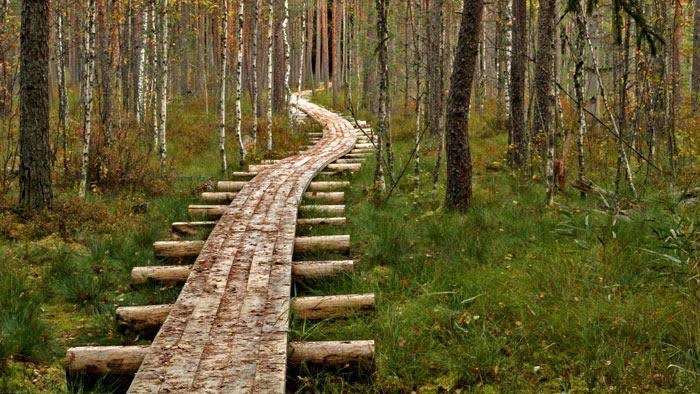 APSTIPRINĀTS STARPTAUTISKĀS SADARBĪBAS PROJEKTS “PALIEC ILGĀK”